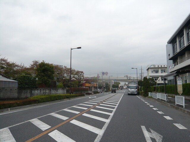 P1050156.jpg