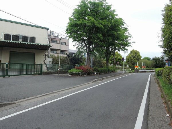 DSCN4074.jpg