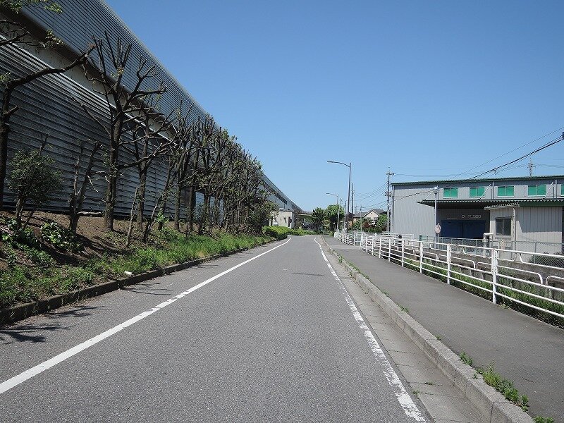 南側　国道298号側道